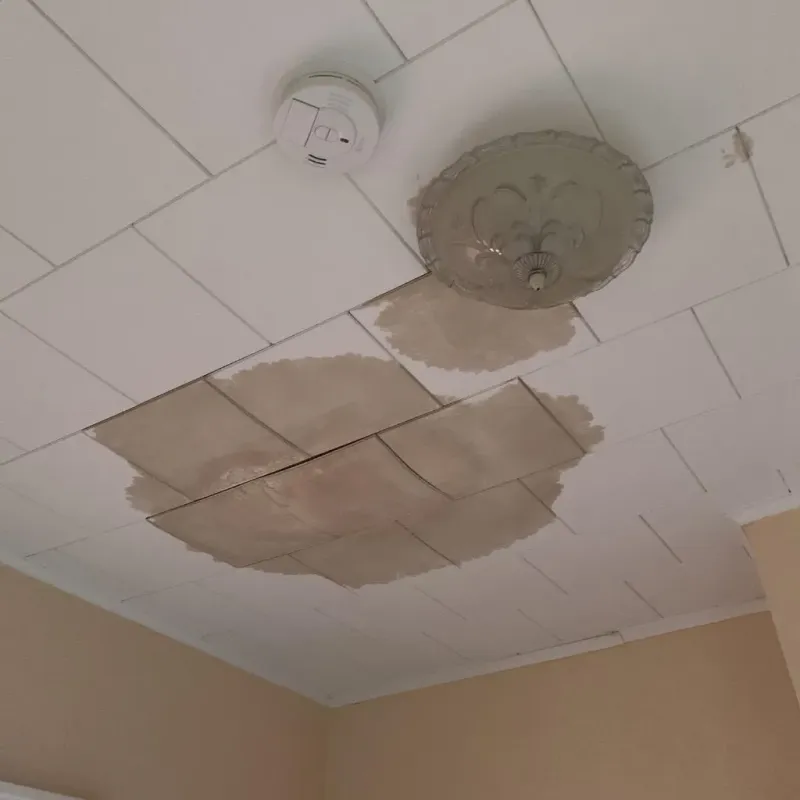 Ceiling Water Damage Repair in Brooklyn Park, MN