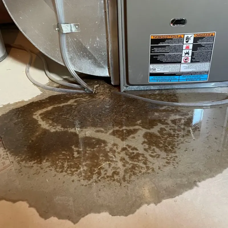 Pipe Burst and Leak Restoration in Brooklyn Park, MN