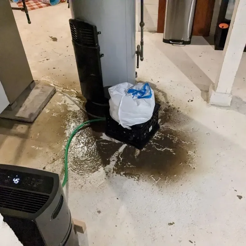 Sewage Backup Cleanup Service in Brooklyn Park, MN